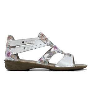 DORKING D6769<br>Blanc multicouleurs