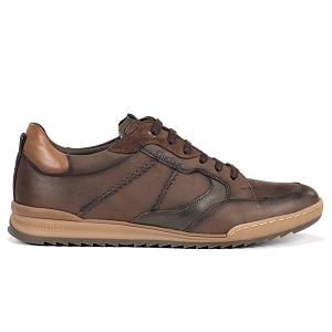 FLUCHOS F2273<br>Marron